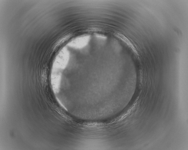 X0000115390826200912151458