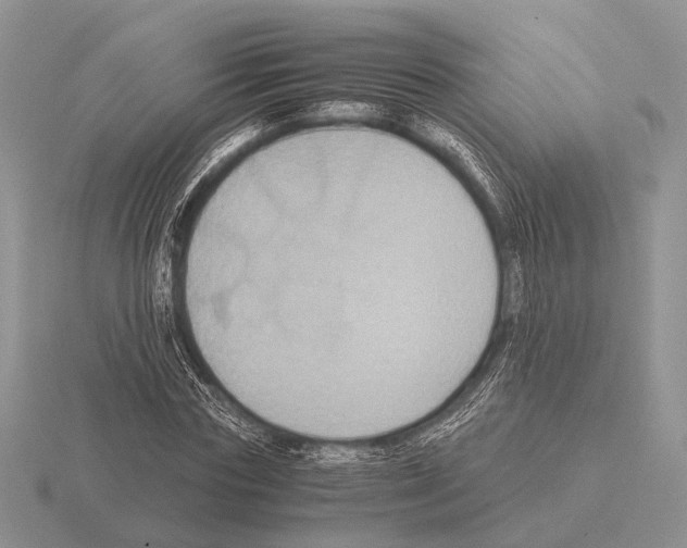 X0000115390827200912151458