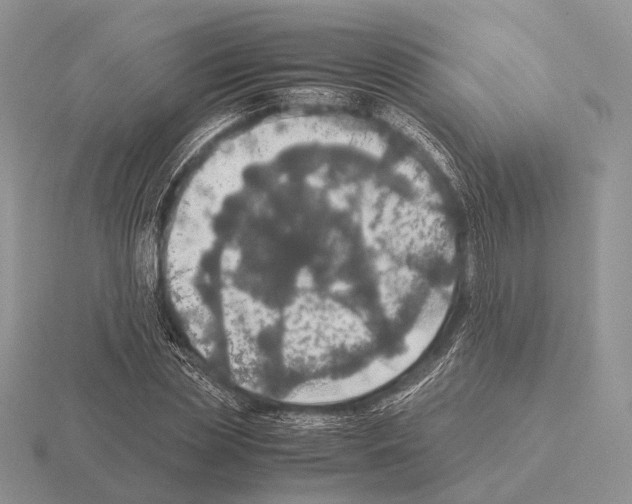 X0000115390829200912151458