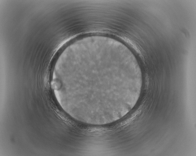 X0000115390830200912151458