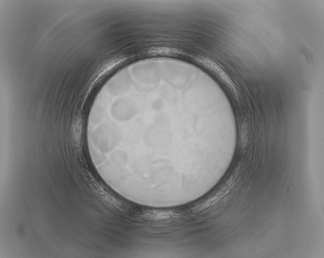 X0000115390831200912151458