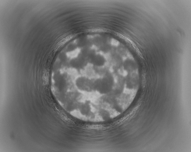 X0000115390833200912151458