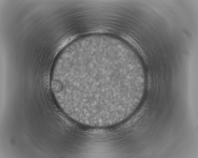 X0000115390834200912151458