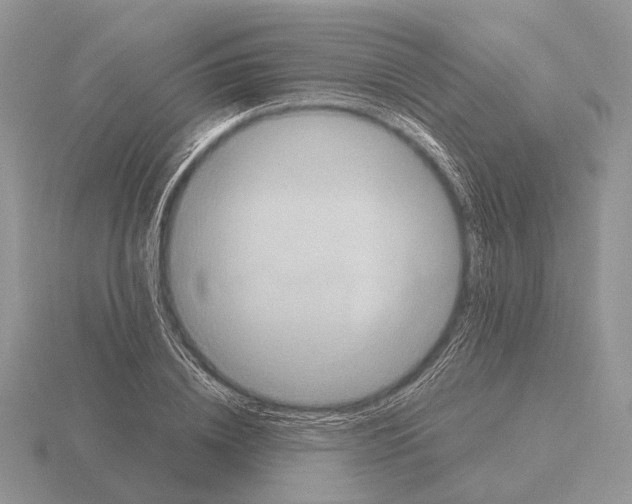 X0000115390836200912151458