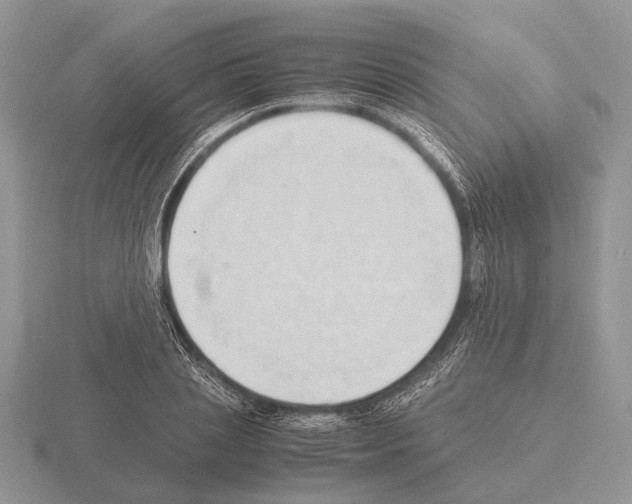 X0000115390837200912151458