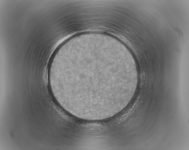 X0000115390838200912151458