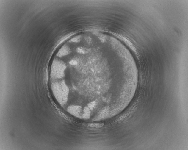 X0000115390839200912151458