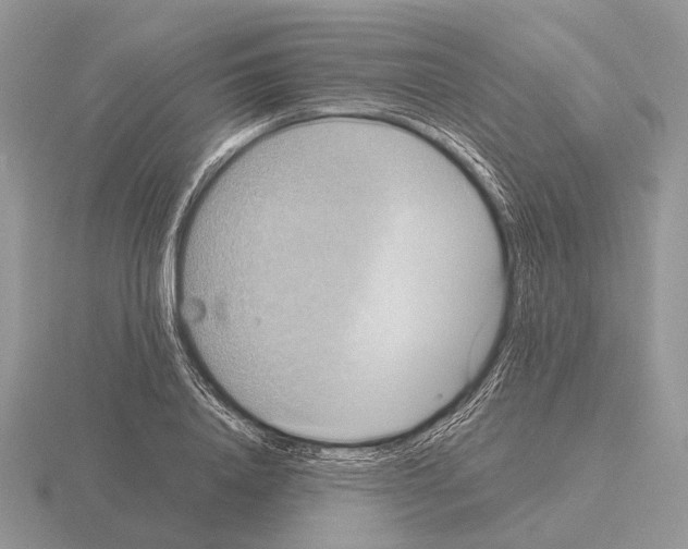 X0000115390840200912151458