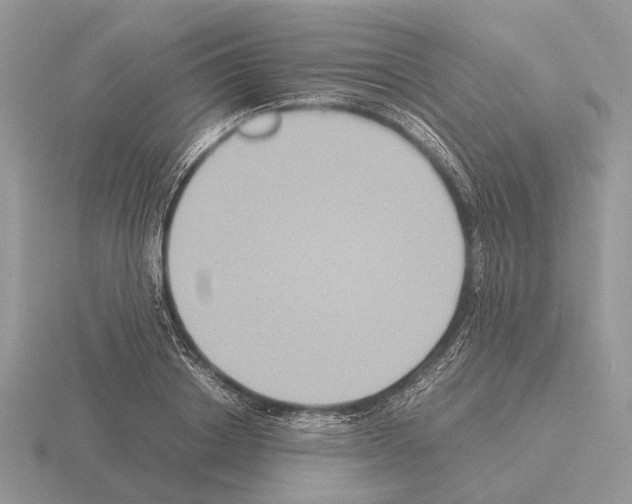 X0000115390842200912151458