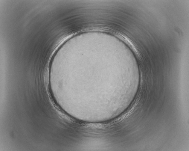 X0000115390844200912151458