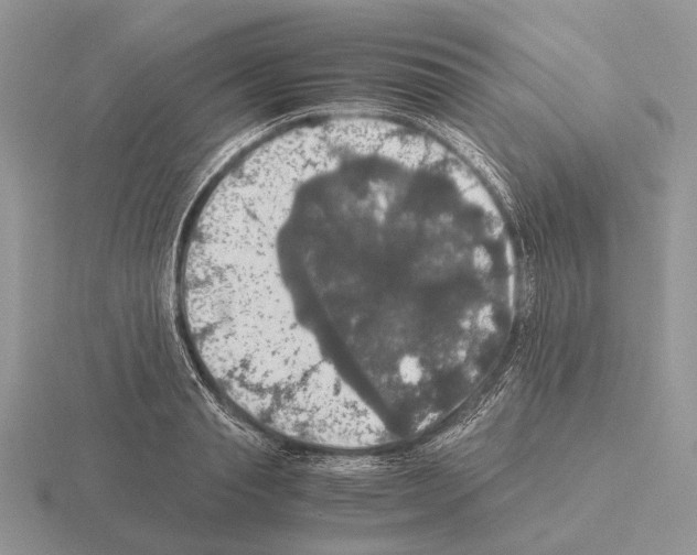 X0000115390845200912151458