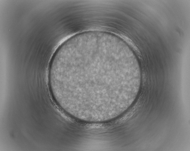 X0000115390846200912151458