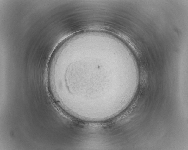 X0000115390848200912151458