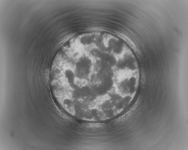 X0000115390849200912151458