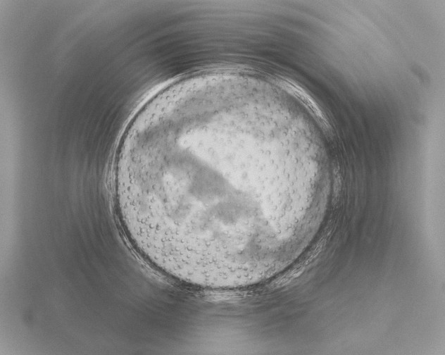 X0000115390852200912151458