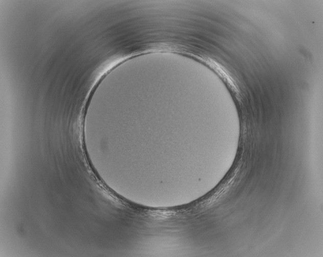 X0000115390854200912151458