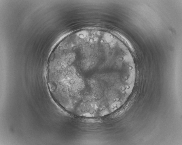 X0000115390855200912151458