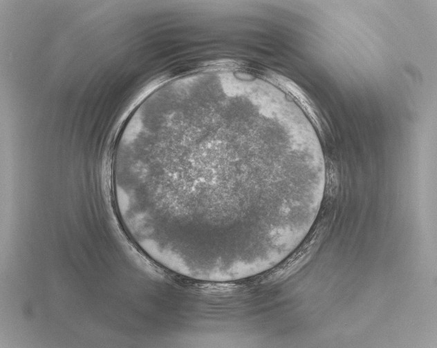 X0000115390859200912151458