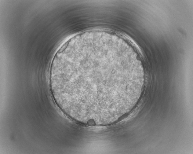 X0000115390860200912151458