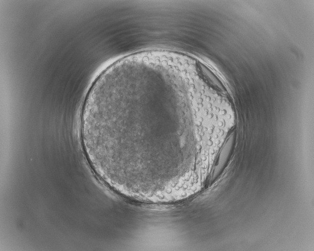 X0000115390862200912151458