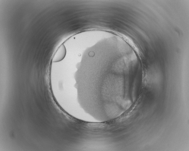 X0000115390863200912151458