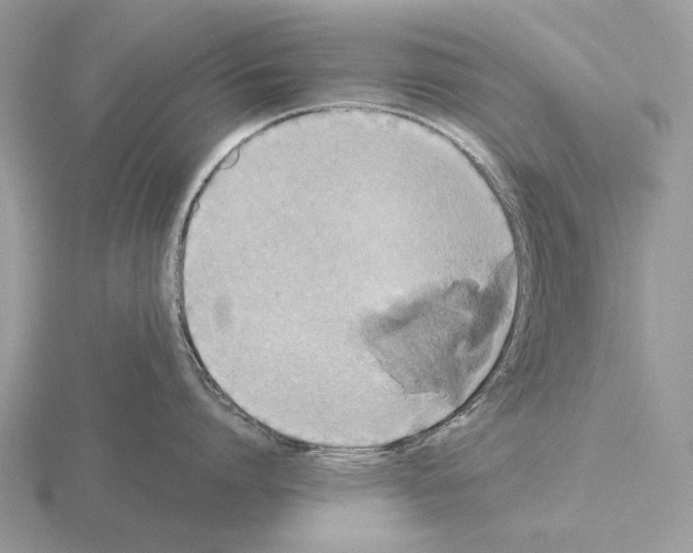 X0000115390864200912151458