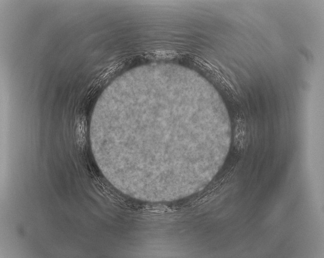 X0000115390866200912151458