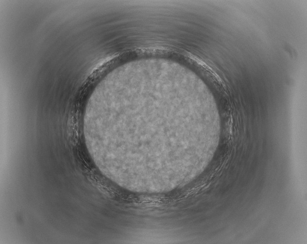 X0000115390870200912151458