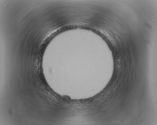 X0000115390872200912151458