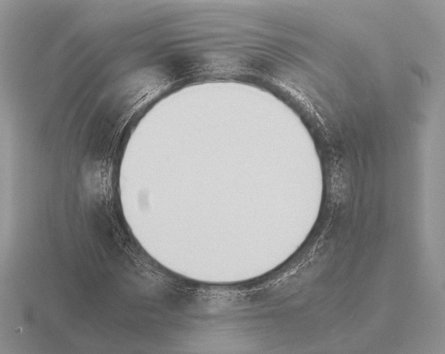 X0000115390873200912151458