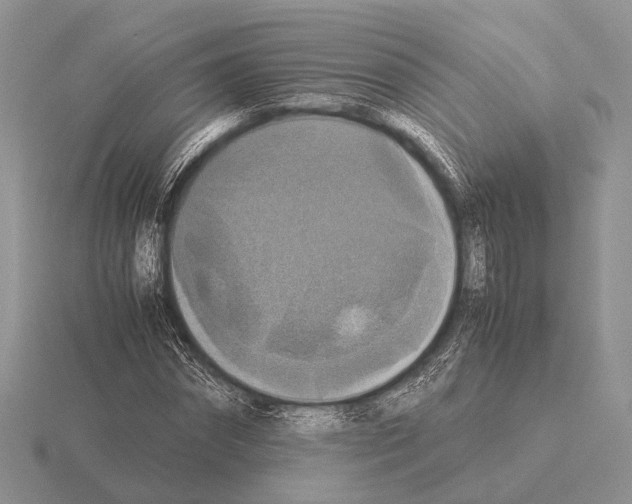 X0000115390874200912151458