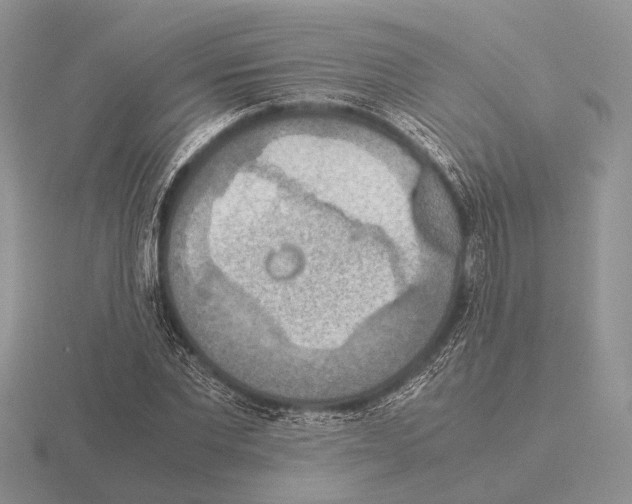 X0000115390877200912151457