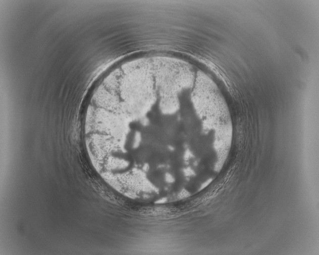 X0000115390879200912151457