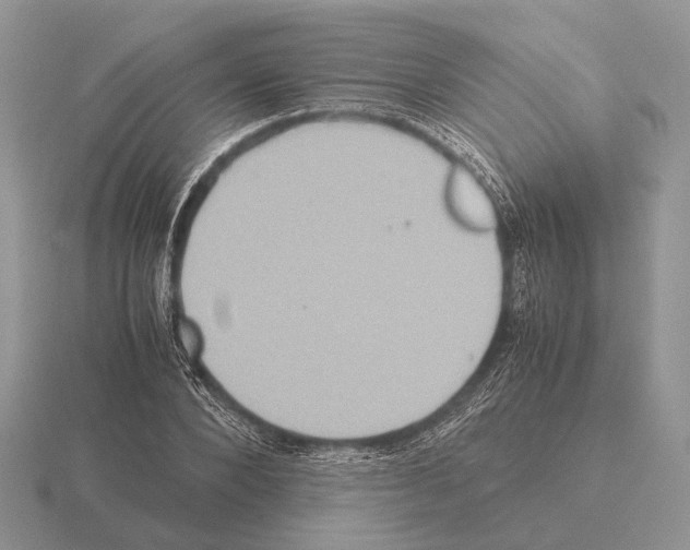 X0000115390880200912151457