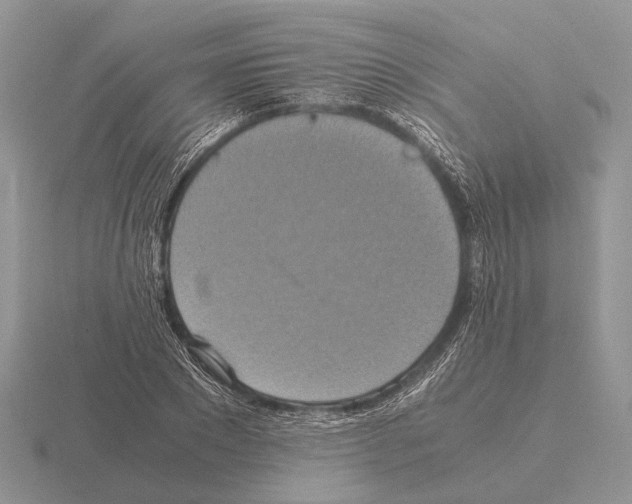 X0000115390881200912151457