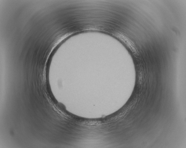 X0000115390884200912151457