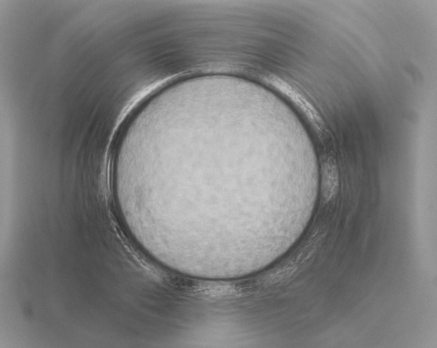 X0000115390886200912151457