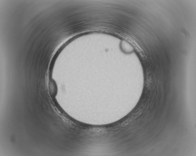 X0000115390888200912151457