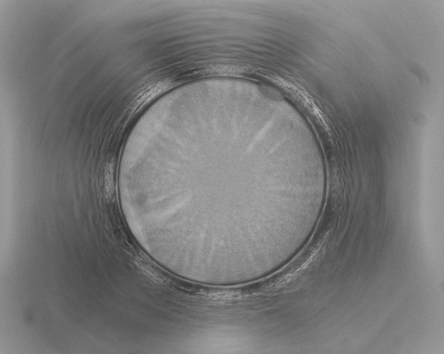 X0000115390889200912151457