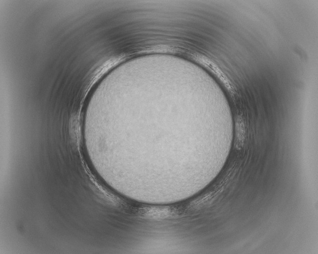 X0000115390890200912151457