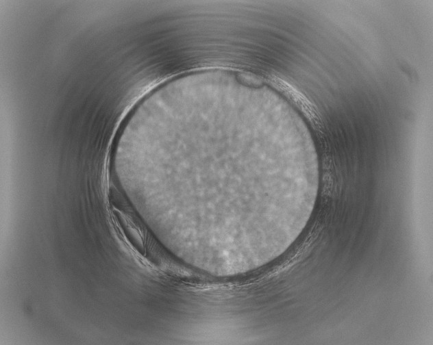 X0000115390892200912151457