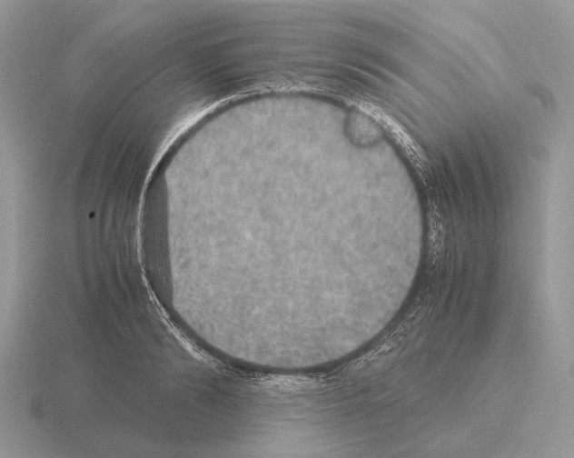 X0000115390894200912151457