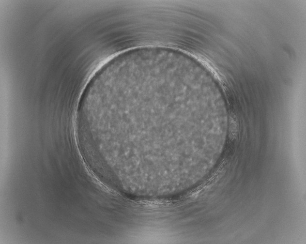 X0000115390895200912151457