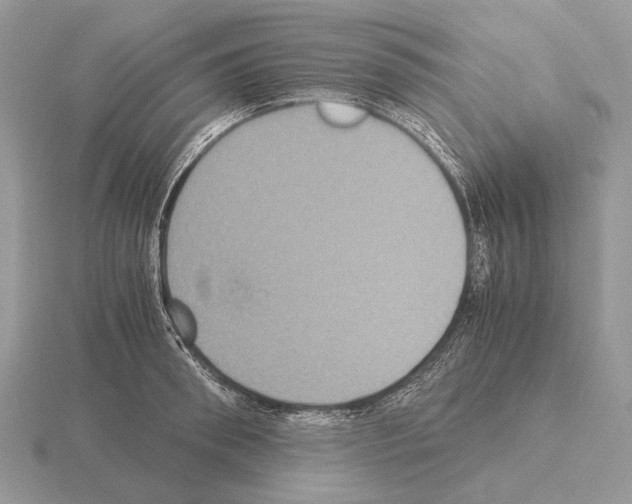 X0000115390898200912151457