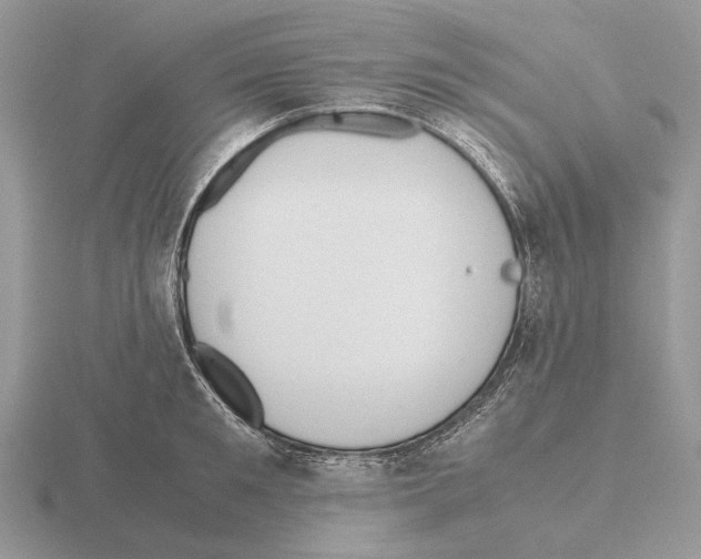 X0000115390901200912151457