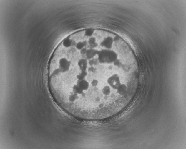 X0000115390903200912151457