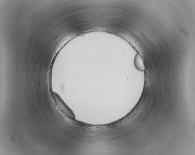 X0000115390906200912151457