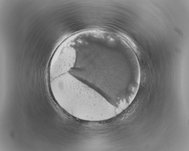 X0000115390907200912151457