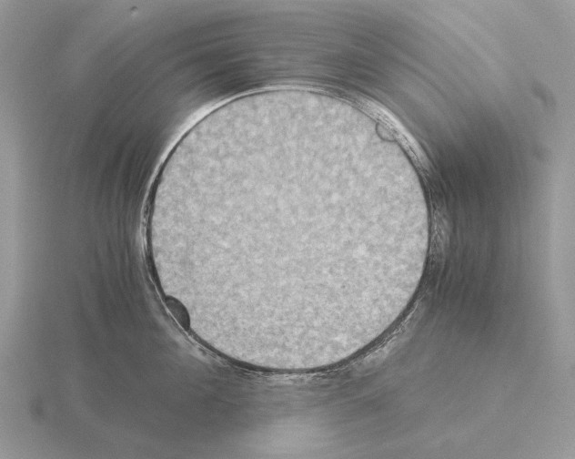 X0000115390908200912151457