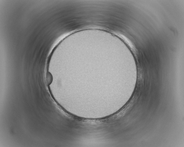 X0000115390910200912151457